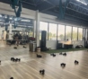 探索Oasis Fitness健身房：享受专业健身课和私教课的完美体验